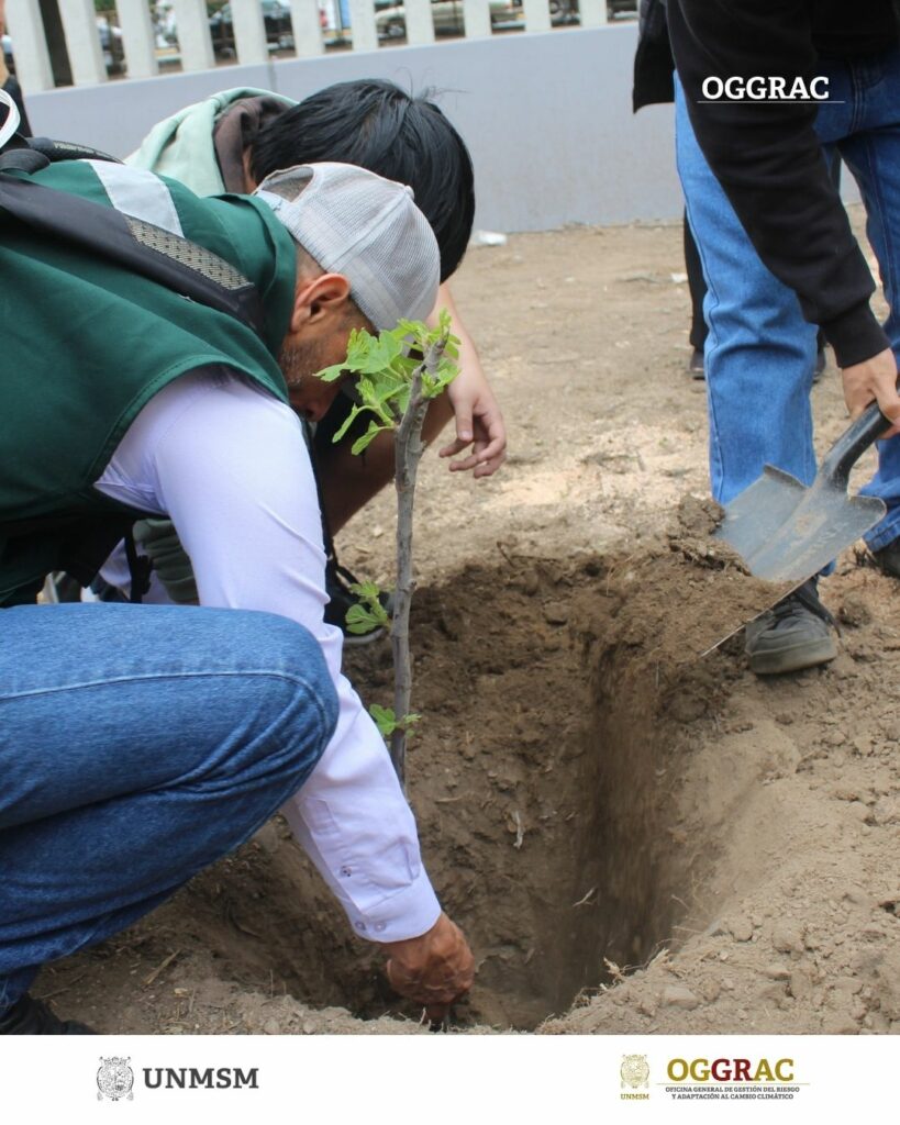 Campaña de arborización "San Marquino Un Árbol"